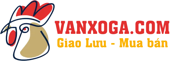 Livestream Vần Xổ Gà